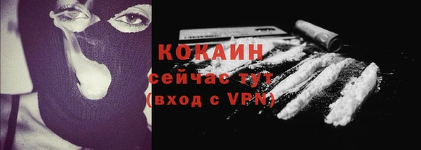 твердый Вязники