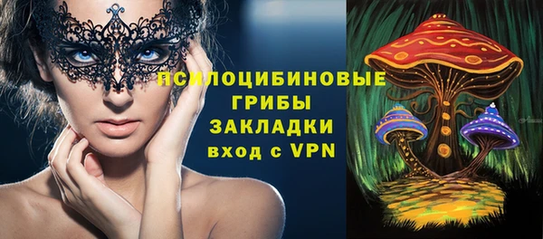 твердый Вязники