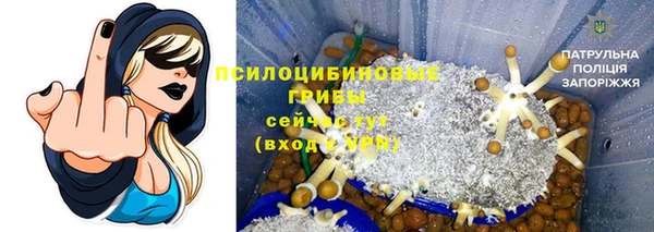 Альфа ПВП Вяземский