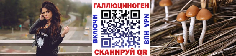 Галлюциногенные грибы мухоморы  наркотики  Обнинск 